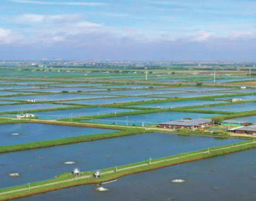 月亮湖箱網(wǎng)式養(yǎng)魚基地